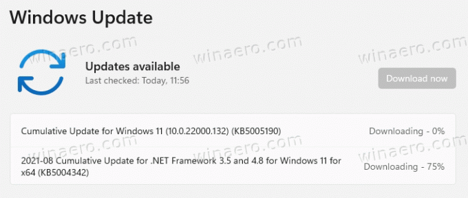 Windows 11 Kompilacja 22000.132