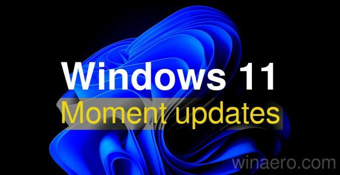 באנר של עדכוני רגעים של Windows 11