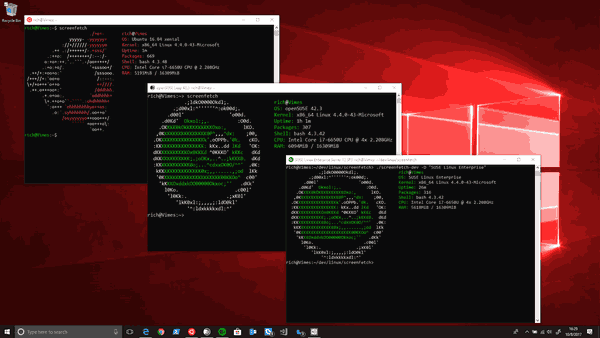 Windows 10 Πολλαπλές παραμορφώσεις Linux