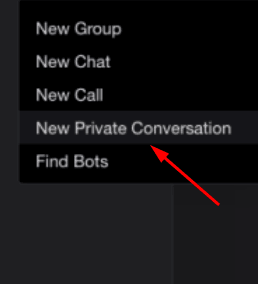 Skype privatni razgovor