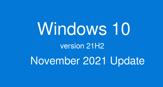 Windows 10 버전 21H2 배너