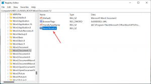 Windows 11에서 파일 확장명을 표시하는 방법