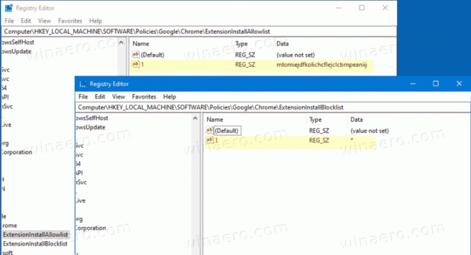 Windows 10 Home Block Namestitev razširitve za Chrome