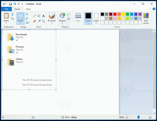 Snimka zaslona za Windows 10 odabrane regije u Paintu
