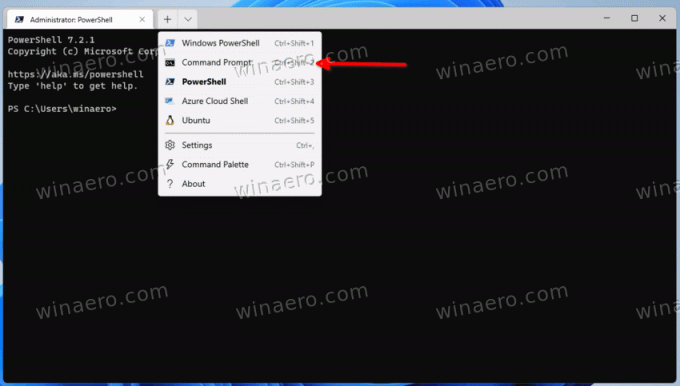 Alterne o terminal do Windows para o prompt de comando