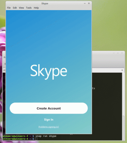 Linux Εγκαταστήστε το Skype Snap Img5