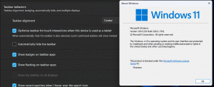 Windows 11 22H2에서 새로운 순간 2 업데이트 기능을 활성화하는 방법