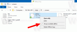 Aktivieren Sie den Always Offline-Modus für Dateien in Windows 10