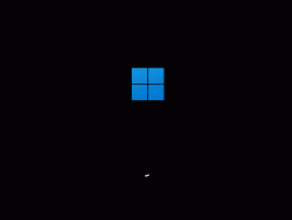 Kuidas lubada Windows 11-s uus alglaadimisanimatsioon