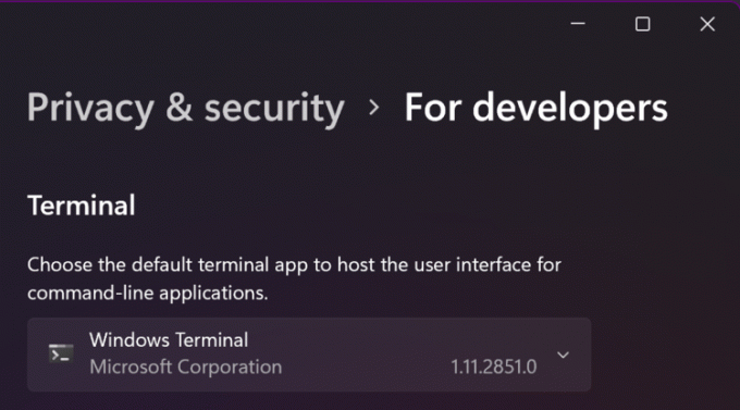 „Windows“ terminalo numatytasis terminalas nustatymuose