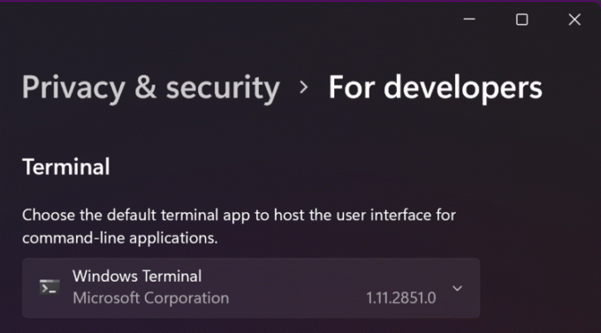 Windowsi terminali vaiketerminal seadetes