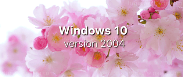 WIndows 10 เวอร์ชัน 2004 20h1 แบนเนอร์