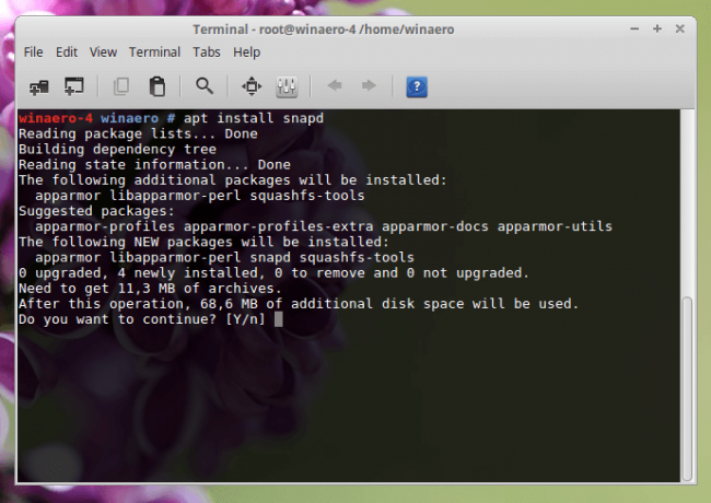 Linux Installer Skype Snap Img1