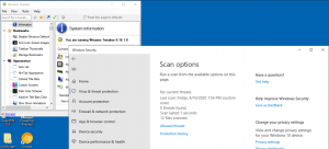 Microsoft Defender Flags Winaero Tweaker ve Windows 10