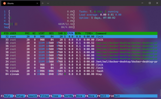 Pasica Windows Terminal 1.0