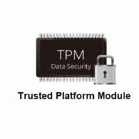 विंडोज 11 उपयोगकर्ता टीपीएम के साथ एएमडी सिस्टम पर प्रदर्शन समस्याओं की रिपोर्ट करते हैं