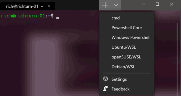 Windows terminālis