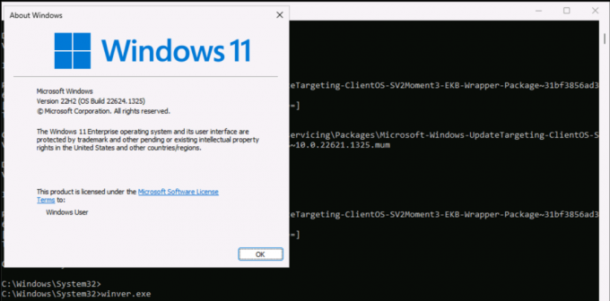 Windows 11 momentas 3