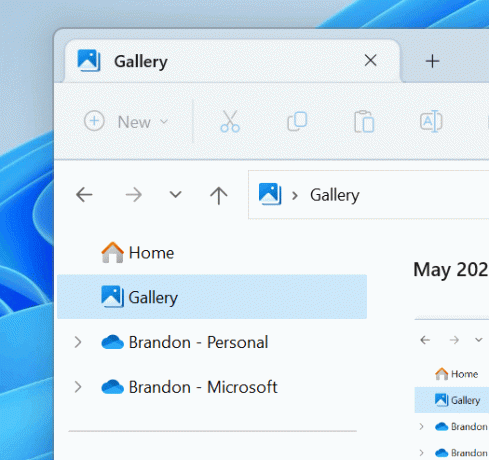 Nyt File Explorer Gallery-ikon
