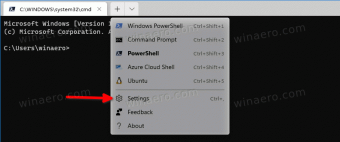 Selectați Setările terminalului Windows din meniul său