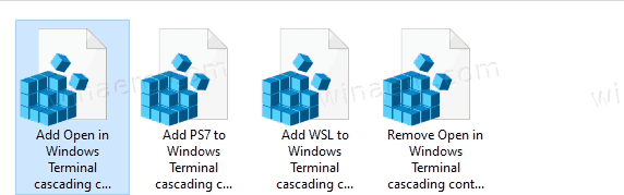 Додати Відкрити в терміналі Windows Каскадне контекстне меню в Windows 10