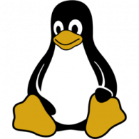 Microsoft pridáva podporu aplikácie Linux GUI do WSL