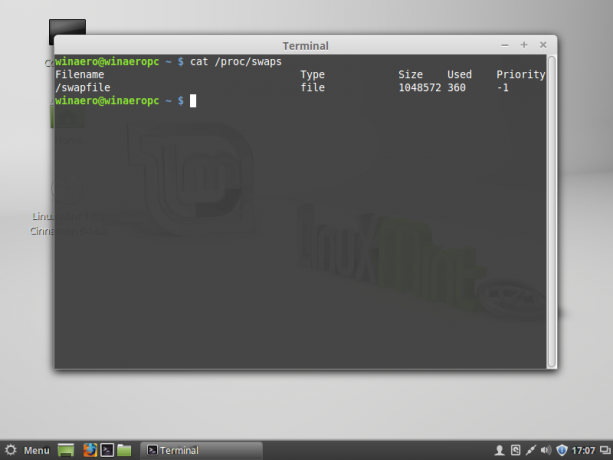 Использование подкачки Linux mint