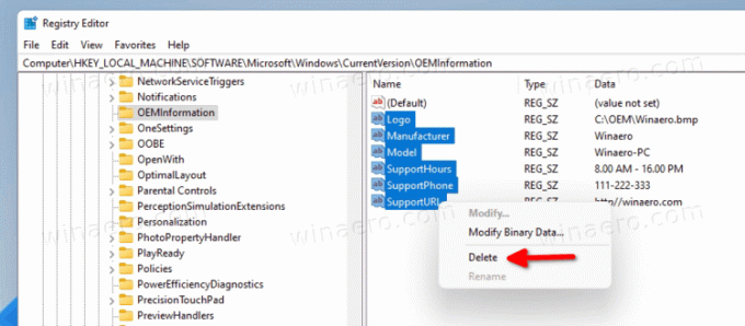 Supprimer les informations OEM dans Windows 11
