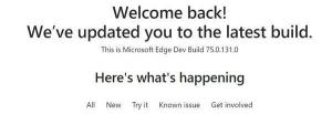 Microsoft Edge ChromiumUpdateがDevChannelに登場し、32ビットビルドを備えています。