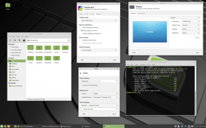 Linux Mint 19.3 ponese kódové označení Tricia