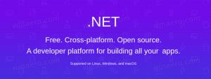 .NET 6 미리 보기 1을 사용할 수 있습니다.