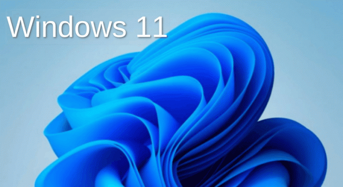 Banner Windows 11