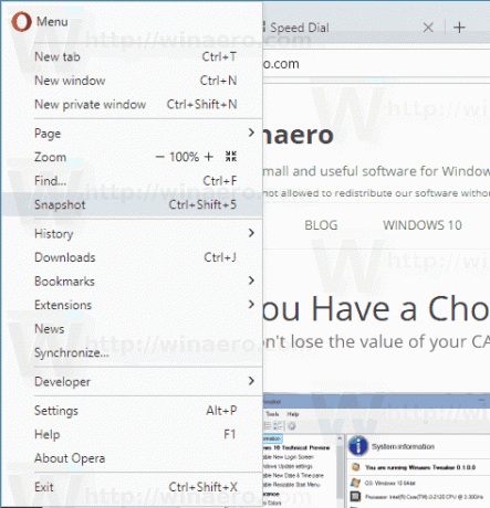 Ukazni meni Opera Snapshot