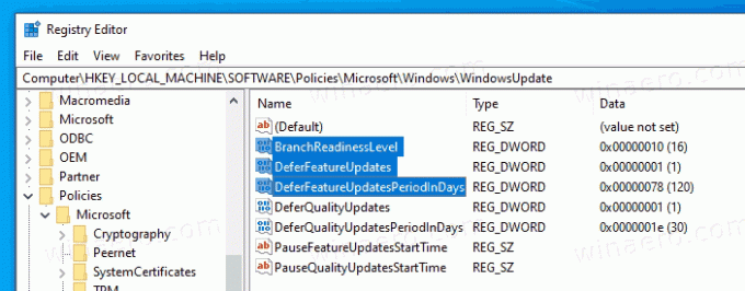 Udskyd funktionsopdateringer i Windows 10 version 2004