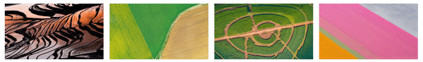 Aerial Farmland PREMIUM Stripe