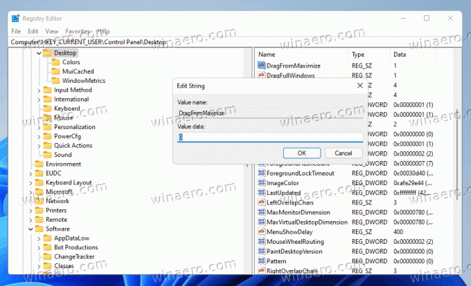 Onemogućite povlačenje maksimiziranih Windowsa u sustavu Windows 11