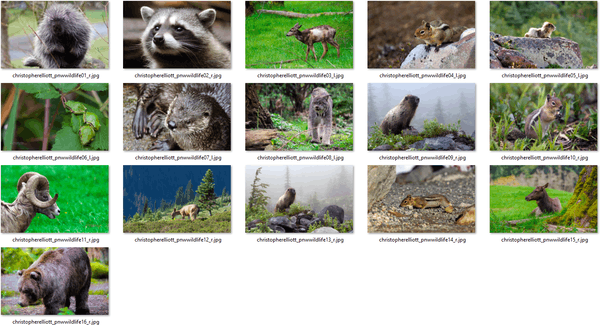 Pacific Northwest Wildlife Themepack 1