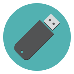 Значок флэш-накопителя USB 256 большой