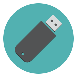 Icône de clé USB 256 Big