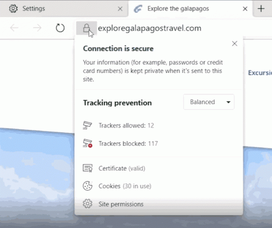 Painel de privacidade 2 do Microsoft Edge IE
