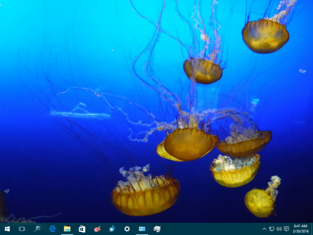 Xubuntu bakgrundsbilder Windows 10 Tema 02